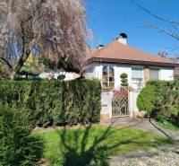 Predaj RD v Šali s bazénom - Rodinný dom v Šali s upravenou záhradou, kvitnúcimi stromami a živým plotom.