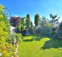 HROZNOVÁ, 4-i RD, 161 m2 – novostavba, krb, klíma, krásna záhrada - Záhrada v Rodinnom dome na Hroznej ulici v Ivanke pri Dunaji s trávnikom a stromami.