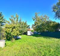 IVANKA PRI DUNAJI, stavebný pozemok 447 m2 s vydaným SP, pôvodná časť - Zeleň a stromy na pozemku v Ivanke pri Dunaji na bývanie.