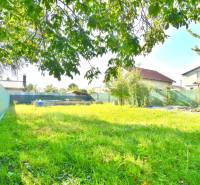 IVANKA PRI DUNAJI, stavebný pozemok 447 m2 s vydaným SP, pôvodná časť - Zelený pozemok na bývanie v Ivanke pri Dunaji s trávnikom a niekoľkými stromami.