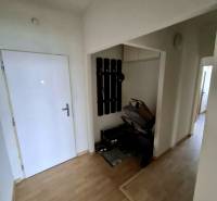 Prenájom 4 izbový byt, Čsl. Parašutistov, Bratislava III. Nové Mesto - Chodba v 4-izbovom byte s vešiakom, kočíkom a podlahou s dreveným dekorom.