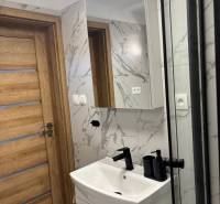 Dom za cenu bytu- komplet prerobený RD 3 izb. Blatné  - Kúpeľňa s drevenými dverami, umývadlom a zrkadlom v rodinnom dome.