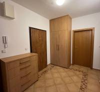 3i byt staršia novostavba, garáž, pivnica, Staré Mesto - Předsieň v 3-izbovom byte s dlažbou a skrinkami s dreveným dekorom.