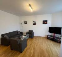 3i byt staršia novostavba, garáž, pivnica, Staré Mesto - Obývacia izba v 3-izbovom byte s podlahou s dreveným dekorom, sedačkou a televízorom.