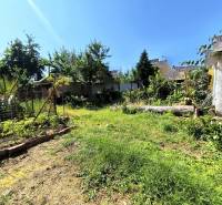 ❗️ RODINNÝ POL DOM NA PREDAJ PARTIZÁNSKE -  CENTRUM MESTA ❗️  - Záhrada pri rodinnom dome v Partizánskom s rozmanitými rastlinami a trávnatou plochou.