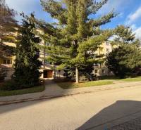 NA PREDAJ • 3i BYT S LOGGIOU • KALINČIAKOVA ULICA, SENICA - Bytový dom s ihličnanmi pred vchodom na ulici Kalinčiakova v Senici.