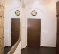 Centrum Košíc - 2-izb.tehlový byt s parkovaním vo dvore - Vstupná chodba v 2-izbovom byte s tmavou dlažbou a zrkadlom.