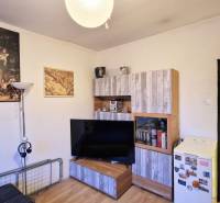 SLNEČNÁ, ÚTULNÁ GARSÓNKA 20m2 , PETRŽALKA - Garsónka s nábytkom s dreveným dekorom, stojacou lampou a dekoratívnymi obrazmi na stene.