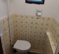 Samota Nová Baňa – Štále s hospodárskymi stavbami  - Na obrázku je tradičná kúpeľňa v rodinnom dome s toaletou a dlažbou.