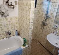 Samota Nová Baňa – Štále s hospodárskymi stavbami  - Kúpeľňa v rodinnom dome s jednoduchou vaňou, umývadlom a sprchou.