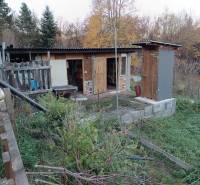 Samota Nová Baňa – Štále s hospodárskymi stavbami  - Drevený záhradný prístrešok s trávou, vedľa rodinného domu, obklopený stromami a záhradným náčiním.