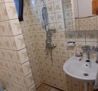 Samota Nová Baňa – Štále s hospodárskymi stavbami  - Kúpeľňa s dlaždicami a sprchou, umývadlom, zrkadlom. Rodinný dom s praktickým dizajnom.