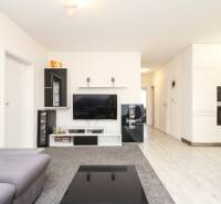 3i byt + záhradka 94m2 + parking, Vinohrady, Trenčín - Obývacia izba v 3-izbovom byte s televízorom, čiernym nábytkom a tmavým kobercom.