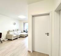 Súčasný 2-izbový byt v novostavbe – Matadorka  - Svetlá obývačka s podlahou s dreveným dekorom a béžovou sedačkou v dvojgarsónke.