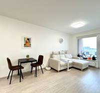 Súčasný 2-izbový byt v novostavbe – Matadorka  - Dvojgarsónka s podlahou s dreveným dekorom, pohovkou, stolom a balkónom.