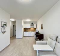 Súčasný 2-izbový byt v novostavbe – Matadorka  - Dvojgarsónka s podlahou s dreveným dekorom, kuchyňou, pohovkou a stolíkom.