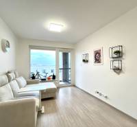 Súčasný 2-izbový byt v novostavbe – Matadorka - Obývacia izba v dvojgarsónke s podlahou s dreveným dekorom a balkónom.