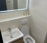 REZERVOVANÉ! Nadštandardný 1-izbový byt, ul. 1. mája, Vráble - Kúpeľňa v 1-izbovom byte s umývadlom, zrkadlom a WC. Podlaha s dreveným dekorom.