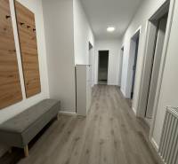 Na prenájom 3 izb. byt, Trenčín, ul.Vl.Predmerského, park.miesto,garáž - Chodba v 3-izbovom byte so svetlými stenami a podlahou s dreveným dekorom.