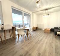 Na prenájom 3 izb. byt, Trenčín, ul.Vl.Predmerského, park.miesto,garáž - Obývačka v 3-izbovom byte s podlahou s dreveným dekorom a moderným nábytkom.