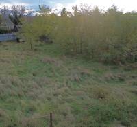 Stavebný pozemok 882 m² | Gajary - Zeleň a stromy v Gajaroch na pozemkoch vhodných na bývanie.