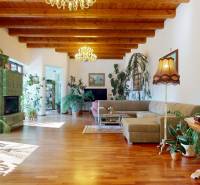 Bývanie ako v raji pri lagúne | Šamorín - Priestranná obývačka vo vile s podlahou s dreveným dekorom, krbom a bohatou zeleňou.