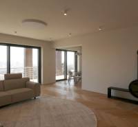 Prenájom 4 izbového bytu s krásnym výhľadom na mesto - Obývacia izba so sedačkou, krbom a podlahou s dreveným dekorom v 4-izbovom byte.