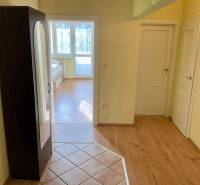 I prenájom štýlových izieb v 3-izbovom byte – Karlova Ves - Chodba v 3-izbovom byte s podlahou s dreveným dekorom a vstavanou skriňou.