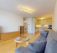 | Prémiové bývanie v ZWIRNe I Pekný zariadený 2i byt I - Obývacia izba v 2-izbovom byte s pohovkou a kuchyňou, podlaha s dreveným dekorom.