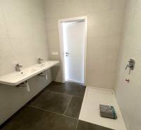 PREDAJ VEĽKORYSÝ 2 IZBOVÝ BYT NOVOSTAVBA DESINGN CENTER - Kúpeľňa s dvojitým umývadlom a sprchovým kútom v 2-izbovom byte. Čistý dizajn.