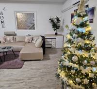 RODINNÝ DOM, HERNÁDKAK, MAĎARSKO - V rodinnom dome s podlahou s dreveným dekorom je ozdobený vianočný stromček a sedačka.