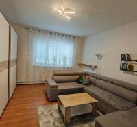 Na predaj rodinný dom v Trnovci nad Váhom - Obývacia izba v rodinnom dome s pohovkou, knižnicou a podlahou s dreveným dekorom.