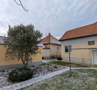 Na predaj rodinný dom v Trnovci nad Váhom - Zasnežená záhrada s rodinným domom v Trnovci nad Váhom, obklopená stromami a trávnikom.