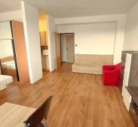 Slnečný 1 izb. byt Piešťany, praktická poloha, kúpou voľný - 1-izbový byt s podlahou s dreveným dekorom, pohovkou a manželskou posteľou.