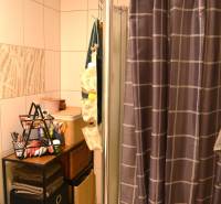 Útulný 3-izbový byt v Trnave na skok do Kamenáča! - Kúpeľňa s prevesom a úložnými priestormi v 3-izbovom byte.