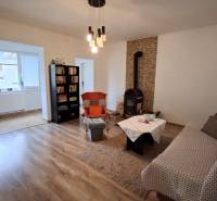 Dom na predaj Nová Ves nad Žitavou, pozemok 732 m2 - Izba v rodinnom dome s krbovými kachľami, pohovkou, knižnicou a podlahou s dreveným dekorom.