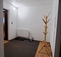 Lukratívny a priestranný 2-izbový apartmán v Mlynici na prenájom - Chodba v 2-izbovom byte s podlahou s dreveným dekorom, radiátorom a vešiakom.