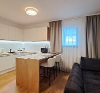 Lukratívny a priestranný 2-izbový apartmán v Mlynici na prenájom - Kuchyňa v 2-izbovom byte s barovým pultom a podlahou s dreveným dekorom.