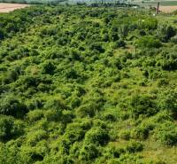 PREDAJ - Pozemok s výmerou do 196.000 m2 - 10 km Nitra, 20 km Šurany - Zeleň pokrýva rozľahlé Pozemky - komerčné v Ivanke pri Nitre, obklopené poľami a stromami.