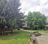 I Prenájom priestranného 4-izb.bytu, 2x balkón, parkovanie - Parkové lavičky a stromy pred bytovým domom v Bratislave - Podunajských Biskupiciach na ulici Priekopnícka.