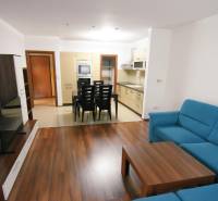 2 izbový byt na prenájom Dolný Šianec, Trenčín - Obývačka 2-izbového bytu s podlahou s dreveným dekorom a modrou sedačkou.