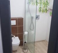 Predaj 4-izbového rodinného domu s veľkou záhradou v Semerove - Kúpeľňa s preskleným sprchovacím kútom, dekoratívnymi dlaždicami a podlahou s dreveným dekorom.