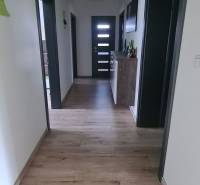 Predaj 4-izbového rodinného domu s veľkou záhradou v Semerove - Chodba v rodinnom dome s podlahou s dreveným dekorom a zelenými detailmi na strope.