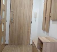 1-izbový byt na prenájom pri stanici – zariadený, po rekonštrukcii - Vstupná chodba v 1-izbovom byte s dreveným dekorom a praktickým nábytkom.