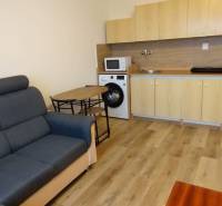 1-izbový byt na prenájom pri stanici – zariadený, po rekonštrukcii - Obývacia izba v 1-izbovom byte s pohovkou, kuchynským kútom a podlahou s dreveným dekorom.