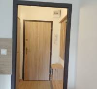 Prenájom veľmi peknej garzónky na Nábrežnej ulici - Interiér garsónky s podlahou s dreveným dekorom a drevenými dverami.