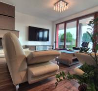 Reprezentatívny 5-izbový rodinný dom pri Piešťanoch - Obývačka Rodinného domu s koženou sedačkou, krbom, televízorom a podlahou s dreveným dekorom.