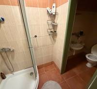 Veľký rodinný dom Podhradie  - Kúpeľňa v rodinnom dome s dlažbou, sprchou a WC bez okna.