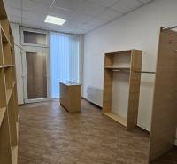Na prenájom: Nebytový-obchodný priestor – Budovateľská ulica, Šaľa - Policové regály a úložné priestory s podlahou s dreveným dekorom.