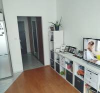 PRENÁJOM - zariadena garsónka v Dúbravke. PET FRIENDLY - Garsónka s podlahou s dreveným dekorom, televízorom a úložnými priestormi.